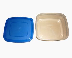 Fast Food Container Mold