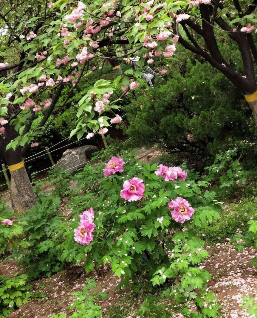 微信图片_20180406091034_meitu_2.jpg