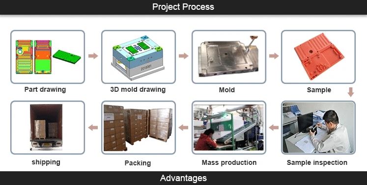 Project process