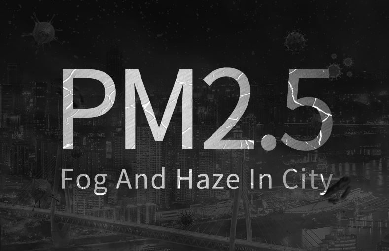 PM2.5 Fog and haze in city