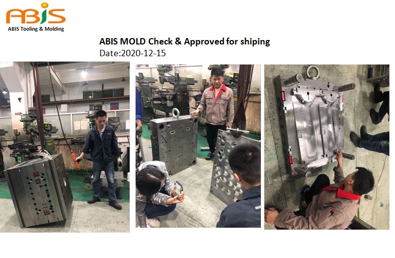 MOLD check and approved