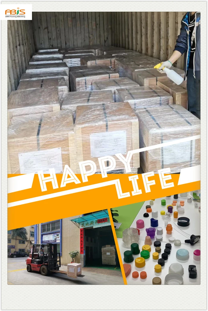 fliptop plastic injection mold