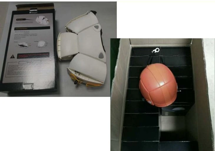 China ABIS Professional Helmet Mold