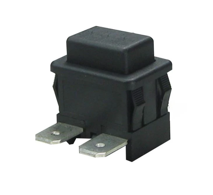 Push Timer Switch Plastic Injection Mold Push Timer Switch Plastic Injection Mold