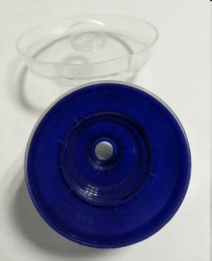Caps mold and Molding