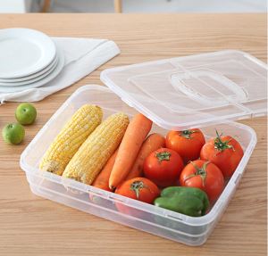 Plastic Storage Egg And Fruit Box