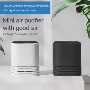 Portable Air Purifier Air Humidifier